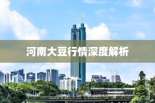 河南大豆行情深度解析