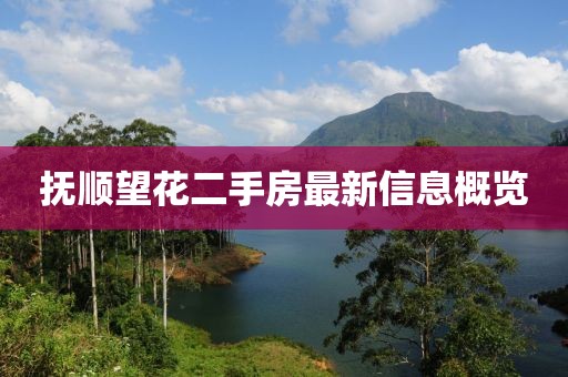 撫順望花二手房最新信息概覽