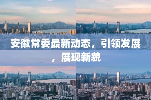 安徽常委最新動態(tài)，引領(lǐng)發(fā)展，展現(xiàn)新貌