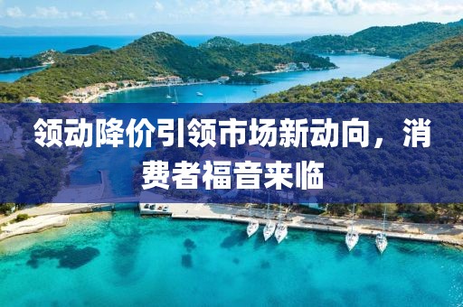 領(lǐng)動(dòng)降價(jià)引領(lǐng)市場(chǎng)新動(dòng)向，消費(fèi)者福音來臨
