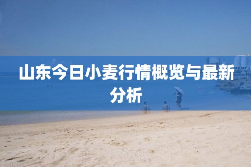 山東今日小麥行情概覽與最新分析