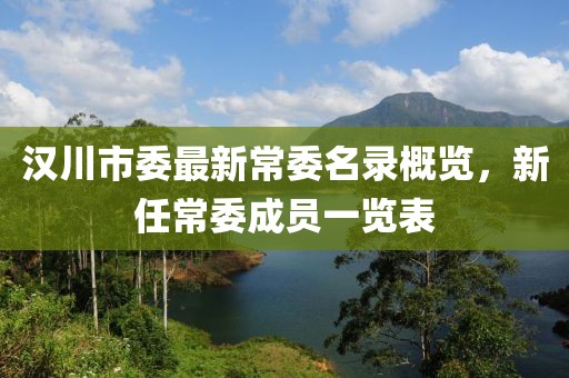 漢川市委最新常委名錄概覽，新任常委成員一覽表