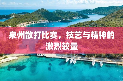 泉州散打比賽，技藝與精神的激烈較量