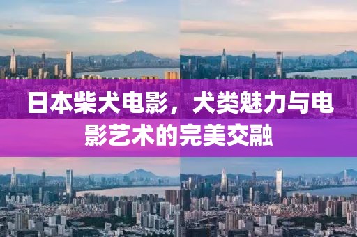 日本柴犬電影，犬類(lèi)魅力與電影藝術(shù)的完美交融