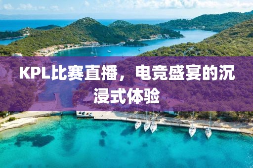 KPL比賽直播，電競(jìng)盛宴的沉浸式體驗(yàn)