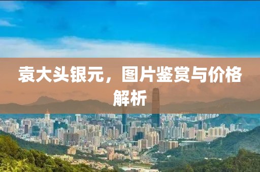 袁大頭銀元，圖片鑒賞與價(jià)格解析