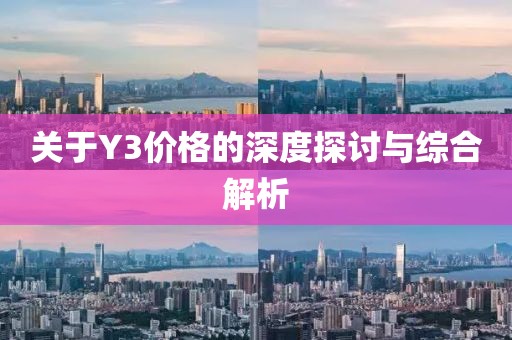 關于Y3價格的深度探討與綜合解析