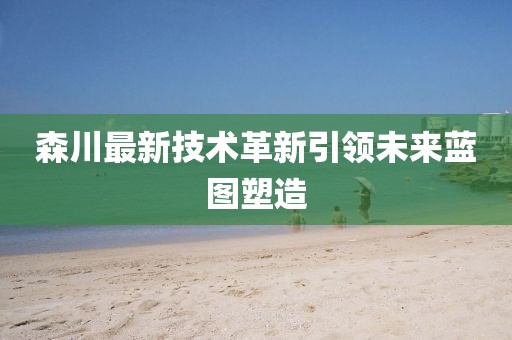 森川最新技術(shù)革新引領(lǐng)未來藍圖塑造