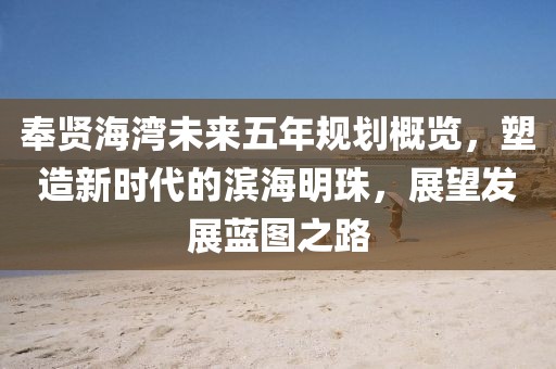 奉賢海灣未來五年規(guī)劃概覽，塑造新時(shí)代的濱海明珠，展望發(fā)展藍(lán)圖之路