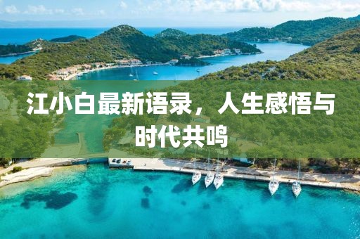 江小白最新語錄，人生感悟與時(shí)代共鳴