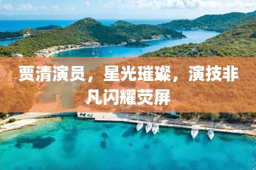 賈清演員，星光璀璨，演技非凡閃耀熒屏