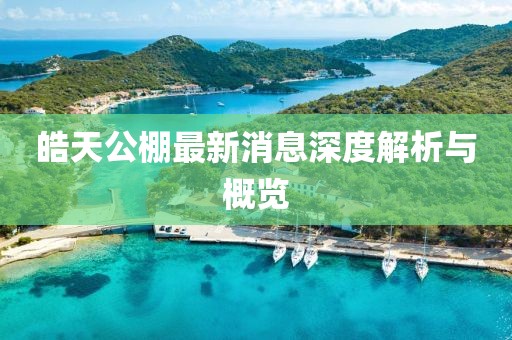 皓天公棚最新消息深度解析與概覽