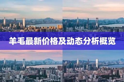 羊毛最新價(jià)格及動(dòng)態(tài)分析概覽