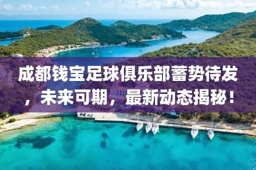 成都錢(qián)寶足球俱樂(lè)部蓄勢(shì)待發(fā)，未來(lái)可期，最新動(dòng)態(tài)揭秘！