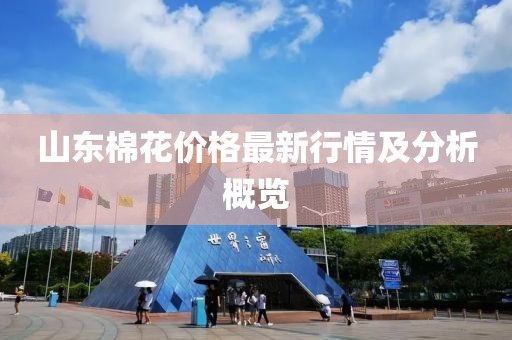 山東棉花價格最新行情及分析概覽