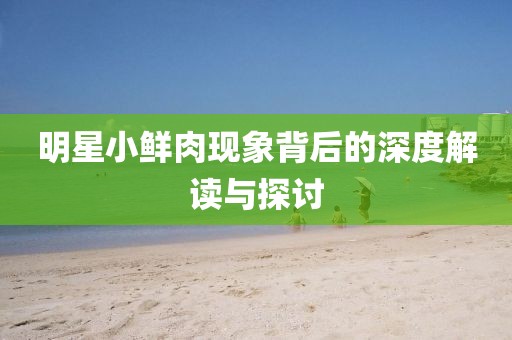明星小鮮肉現(xiàn)象背后的深度解讀與探討