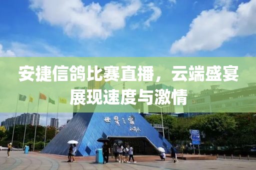安捷信鴿比賽直播，云端盛宴展現(xiàn)速度與激情