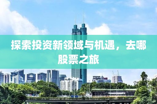 探索投資新領(lǐng)域與機遇，去哪股票之旅