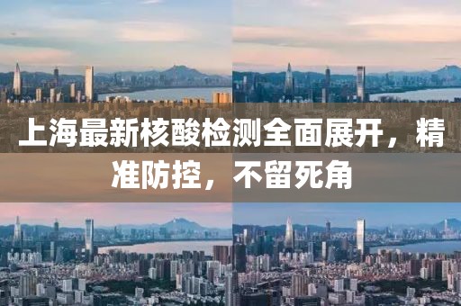 上海最新核酸檢測(cè)全面展開(kāi)，精準(zhǔn)防控，不留死角