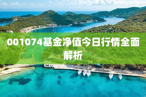 001074基金凈值今日行情全面解析