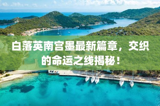 白落英南宮墨最新篇章，交織的命運(yùn)之線揭秘！