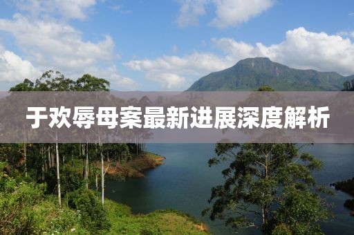 于歡辱母案最新進展深度解析