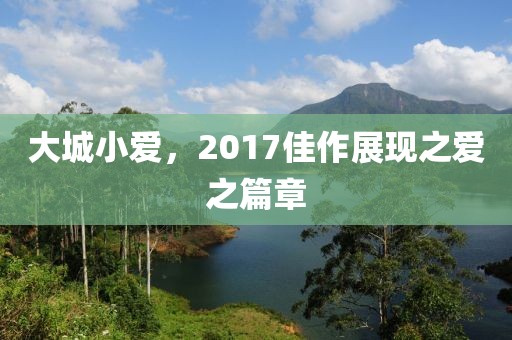 大城小愛，2017佳作展現(xiàn)之愛之篇章