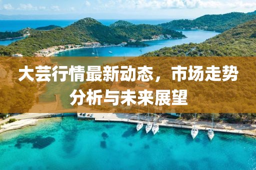 大蕓行情最新動態(tài)，市場走勢分析與未來展望