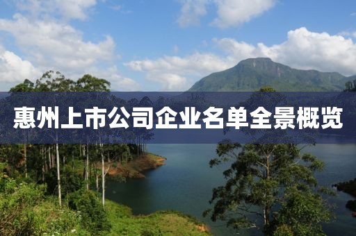 惠州上市公司企業(yè)名單全景概覽