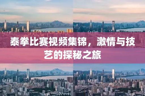 泰拳比賽視頻集錦，激情與技藝的探秘之旅