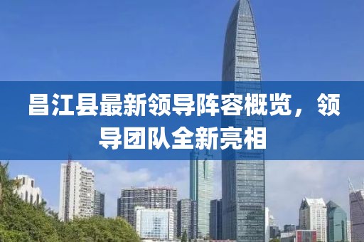 昌江縣最新領(lǐng)導(dǎo)陣容概覽，領(lǐng)導(dǎo)團(tuán)隊(duì)全新亮相