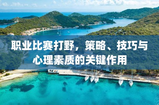 職業(yè)比賽打野，策略、技巧與心理素質(zhì)的關(guān)鍵作用