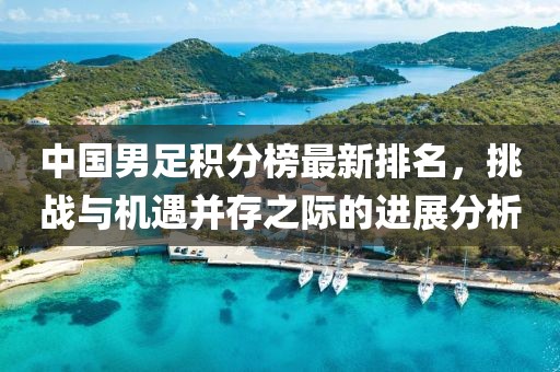 中國(guó)男足積分榜最新排名，挑戰(zhàn)與機(jī)遇并存之際的進(jìn)展分析