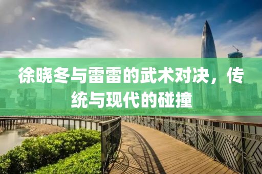 徐曉冬與雷雷的武術對決，傳統(tǒng)與現代的碰撞