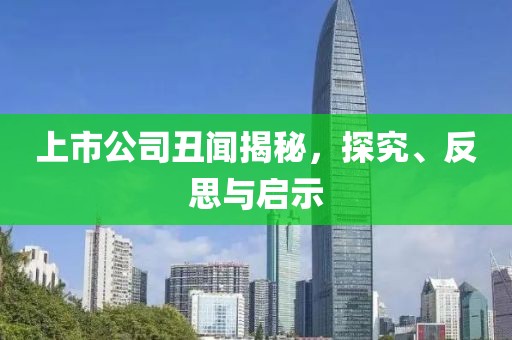 上市公司丑聞揭秘，探究、反思與啟示