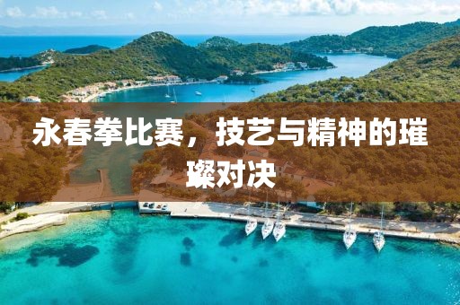永春拳比賽，技藝與精神的璀璨對(duì)決