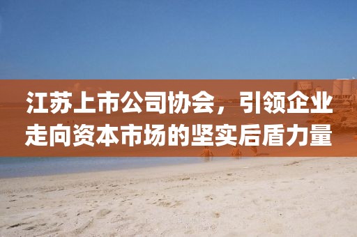 江蘇上市公司協(xié)會(huì)，引領(lǐng)企業(yè)走向資本市場(chǎng)的堅(jiān)實(shí)后盾力量