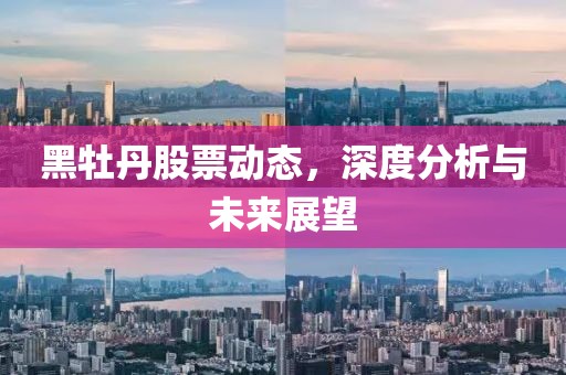 黑牡丹股票動態(tài)，深度分析與未來展望