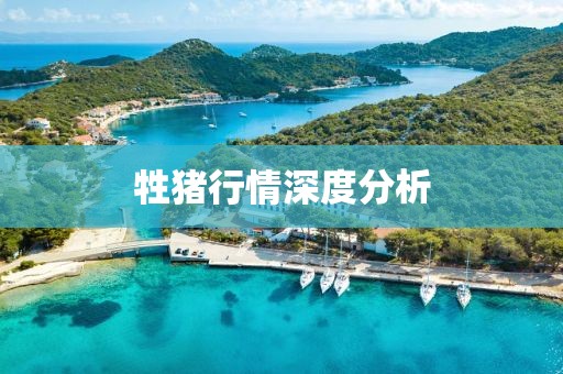 牲豬行情深度分析