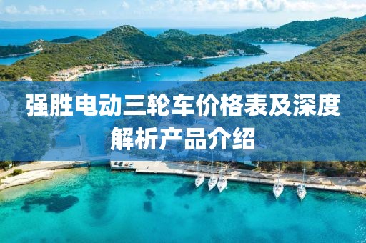 強(qiáng)勝電動(dòng)三輪車(chē)價(jià)格表及深度解析產(chǎn)品介紹