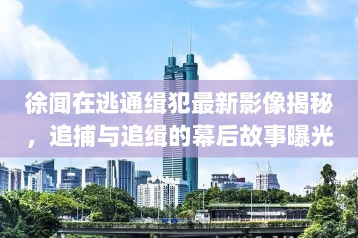 徐聞在逃通緝犯最新影像揭秘，追捕與追緝的幕后故事曝光