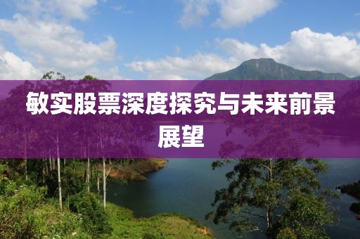 敏實股票深度探究與未來前景展望