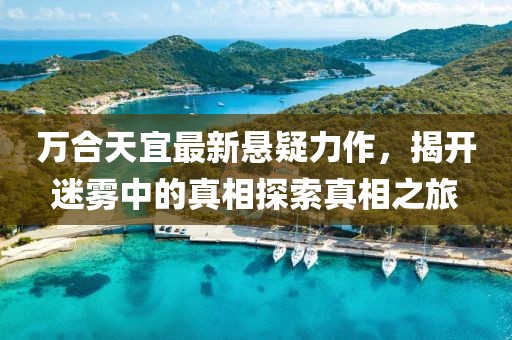 萬(wàn)合天宜最新懸疑力作，揭開迷霧中的真相探索真相之旅