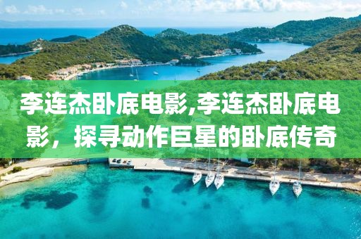 李連杰臥底電影,李連杰臥底電影，探尋動作巨星的臥底傳奇