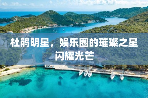 杜鵑明星，娛樂(lè)圈的璀璨之星閃耀光芒
