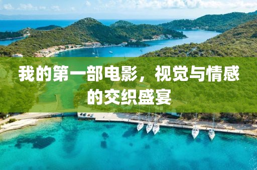 我的第一部電影，視覺(jué)與情感的交織盛宴