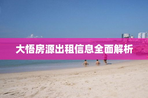 大悟房源出租信息全面解析