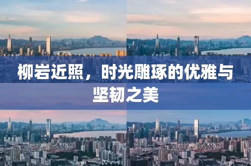 柳巖近照，時(shí)光雕琢的優(yōu)雅與堅(jiān)韌之美