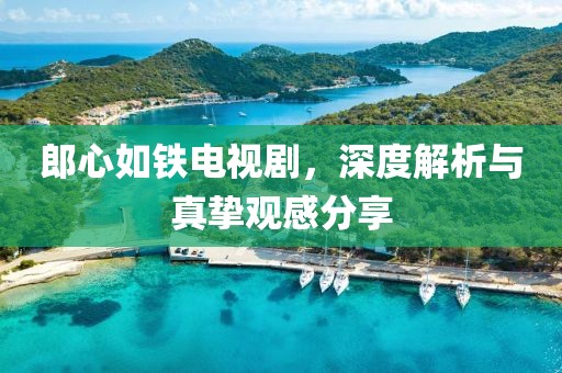 郎心如鐵電視劇，深度解析與真摯觀感分享