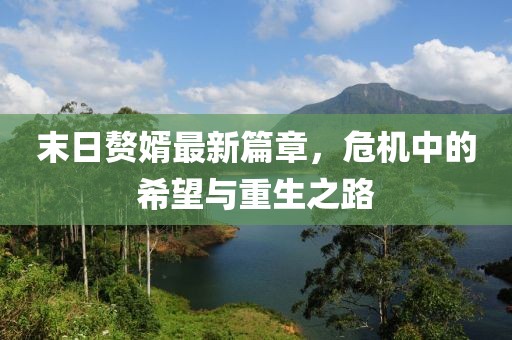 末日贅婿最新篇章，危機中的希望與重生之路